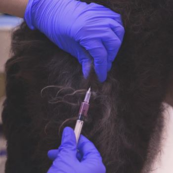 Thumbnail - Administering a Rabies Vaccine to a Dog