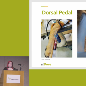 You're So Vein You Probably Think This Talk is About You