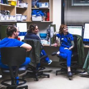 DVMs in ER Charting