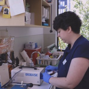 ICU Bootcamp - Splitting a Blood Unit