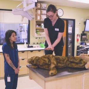 Thumbnail - Technician CPR Demonstration