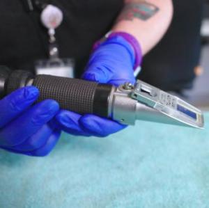 Thumbnail - Urine Specific Gravity Test