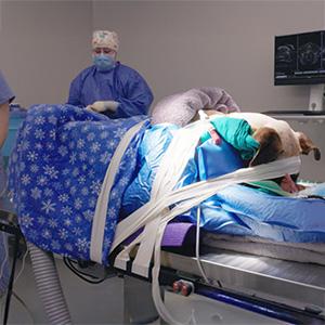 thumbnail - patient positioning for a suboccipital craniectomy