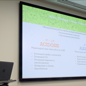 thumbnail - acid base balance