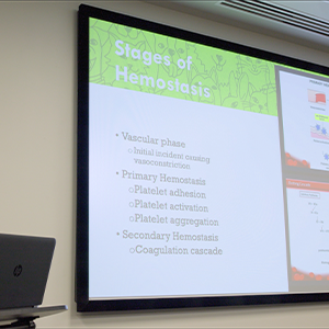 thumbnail - all bleeding stops eventually