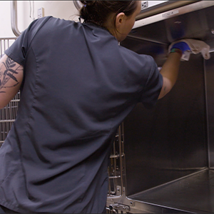 thumbnail - cleaning a kennel after a discharge