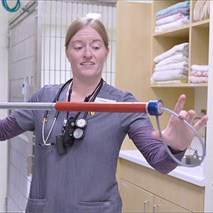 thumbnail - using a catch pole