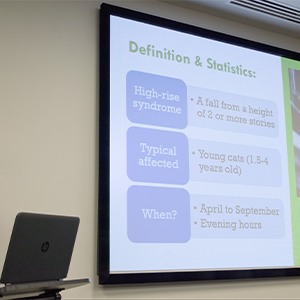 thumbnail - high rise syndrome