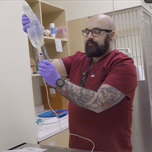 thumbnail - prepping a fluid bag for a patient