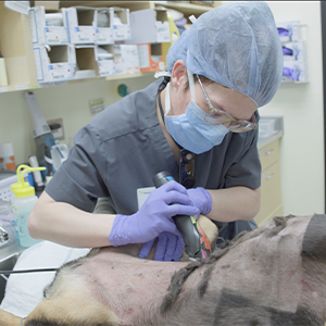 thumbnail - prepping a patient for an abdominal explore