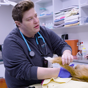 thumbnail - rectal exam