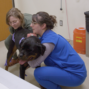 thumbnail - how to safely lift a large patient