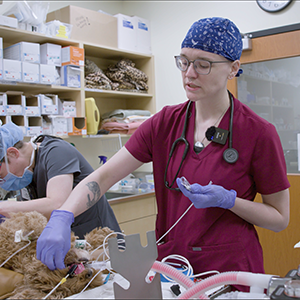 thumbnail - advancing monitoring skills - pulse oximetry