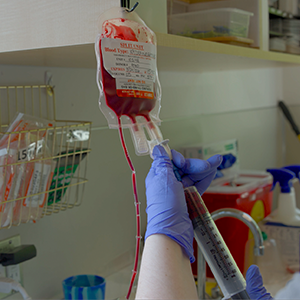 thumbnail - spiking a blood unit for a small transfusion
