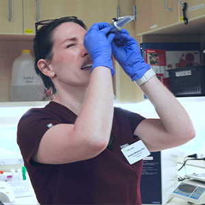 A person wearing blue gloves and a name tag examines an object closely using a small silver tool in a laboratory or medical setting.