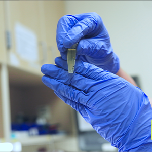 A person wearing blue gloves holds a small clear tube in a laboratory setting, with shelves and equipment blurred in the background.