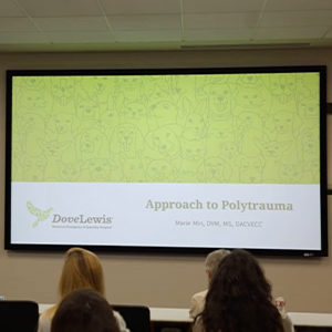 A projected presentation slide titled Approach to Polytrauma by Marie Min, DVM, MS, DACVECC, with the DoveLewis Veterinary Emergency & Specialty Hospital logo, shown to an audience.